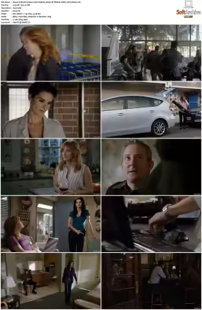 Rizzoli and Isles 2010 S01-S07 1080p NF WEB-DL DDP5.1 AV1-Vialle