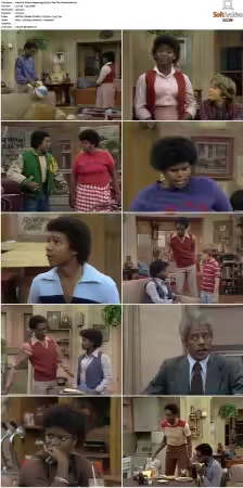 Whats Happening S01-S03 DVDRip XviD-NGP