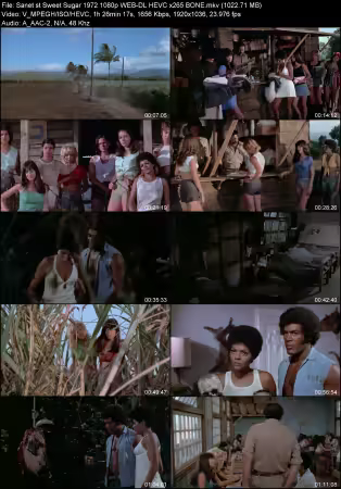 Sweet Sugar 1972 1080p WEB-DL HEVC x265 BONE