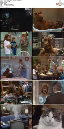 Alf S01 German DL 1080p MiXED x264-TVNATiON