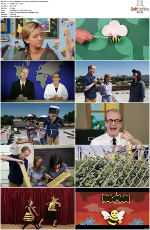 Weird But True S01 S03 1080p WEB H264-S
