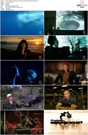 Weird Or What S01 S03 1080p WEB-DL DDP5.1 H264-squalor