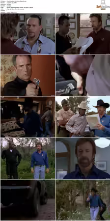 Walker Texas Ranger S01-S09 DVDRip XviD-Mixed