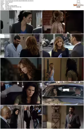 Rizzoli and Isles 2010 S01-S07 1080p NF WEB-DL DDP5.1 AV1-Vialle