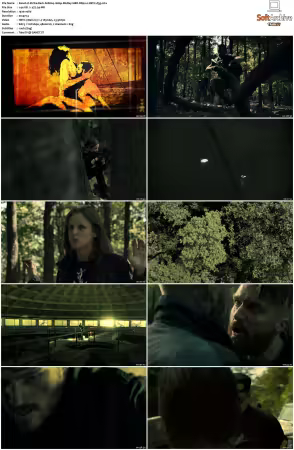 Strike Back S01-S08 1080p BluRay WEBRip 10Bit DDP2.0 HEVC-d3g