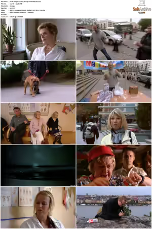 Hjalp S01 S03 SWEDiSH DVDRip XviD-SCC