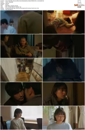 Why didnt I tell you a million times S01 1080p NF WEB-DL DD+20 x264-SH3LBY