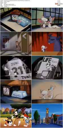Animaniacs 1993 S01-S05 1080p UPSCALED DD 5.1 x265-EDGE2020