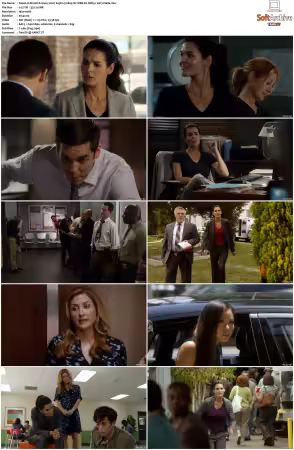 Rizzoli and Isles 2010 S01-S07 1080p NF WEB-DL DDP5.1 AV1-Vialle