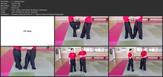 WingTsun Technician Level 4