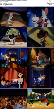 Animaniacs 1993 S01-S05 1080p UPSCALED DD 5.1 x265-EDGE2020