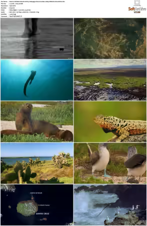 Wildest Islands S01 S02 1080p WEB-DL H264-KUSH