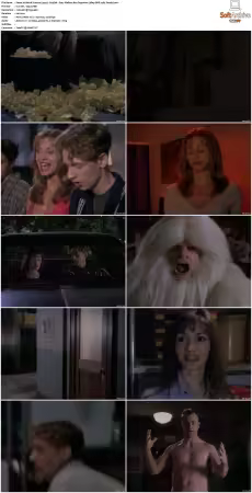 Weird Science 1994 S01 S05 480p DVD x265 HEVC 10bit AAC 2.0 Panda