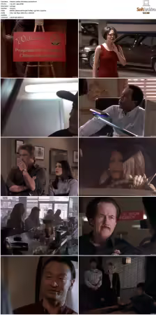Walker Texas Ranger S01-S09 DVDRip XviD-Mixed