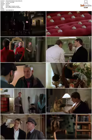 Kommissar Rex S01-S10 German 1080p HDTV x264-OMGtv