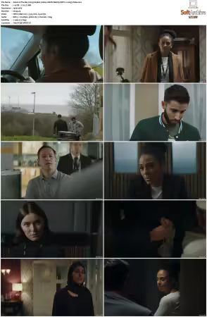 The Bay 2019 S01 S05 1080p AMZN Webrip DDP2.0 x265-Vialle