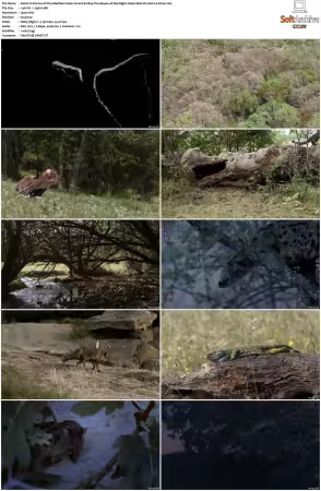 Stories of The Mediterranean Forest S01 1080p Web-DL AAC2.0 H264-