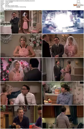 The Big Bang Theory S01-S12 German DL AC3 1080p BluRay x265-FuN