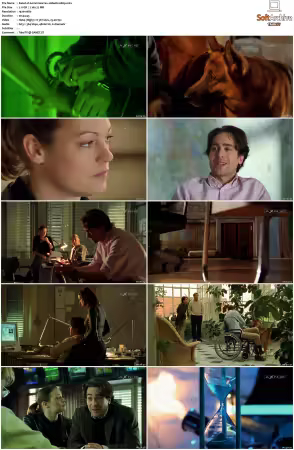 Kommissar Rex S01-S10 German 1080p HDTV x264-OMGtv