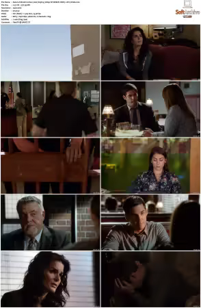 Rizzoli and Isles 2010 S01-S07 1080p NF WEB-DL DDP5.1 AV1-Vialle
