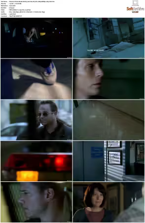 Prison Break S01 S05 German AC3 DL 1080p BDRip x265-FuN