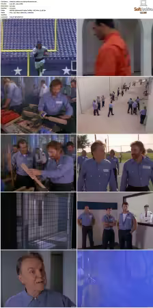 Walker Texas Ranger S01 S09 DVDRip XviD-Mixed