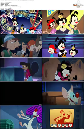 Animaniacs 2020 S01 S03 1080p HULU WEB-DL DDP5 1 H264-SNAKE