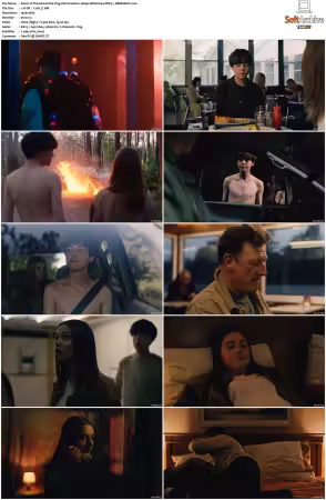 The End of the Fing World S01 S02 1080p WEB H264 DDP5.1-DERMAGiC