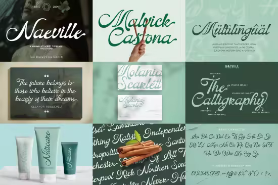 Naeville - Modern Classic Style Script Font