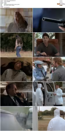 Walker Texas Ranger S01 S09 DVDRip XviD-Mixed