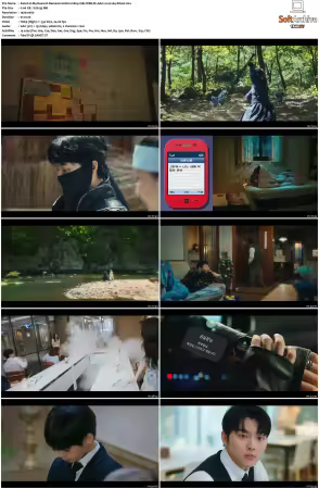 My Dearest Nemesis S01 1080p VIKI WEB-DL AAC2.0 H264-SiGLA