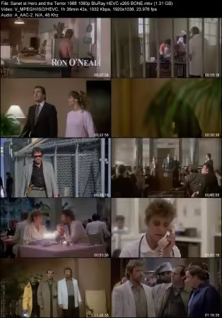 Hero and the Terror 1988 1080p BluRay HEVC x265 BONE