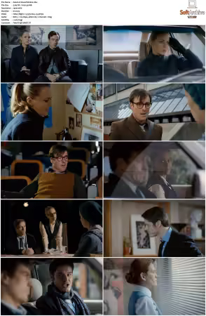 Vexed S01S02 1080p WEB x264-NGP