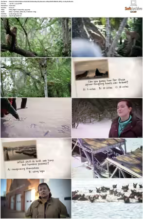 United States of Animals S01 1080p DSNP WEB-DL DDP5.1 H264-Sloth