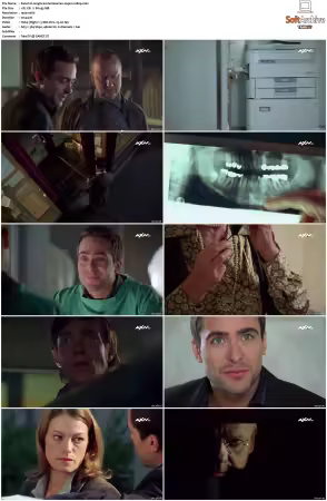 Kommissar Rex S01-S10 German 1080p HDTV x264-OMGtv