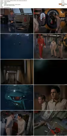Voyage to the Bottom of the Sea 1964-1968 S01-S04 DVDRip XviD-NOGRP