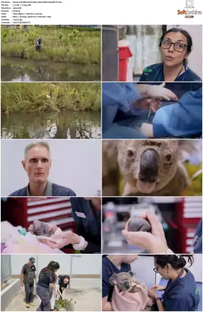 Wildlife ER S01S02 1080p WEB h264-BETTY