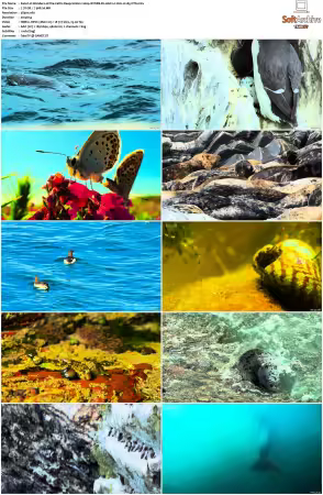 Wonders of the Celtic Deep S01 2160p iP WEB-DL AAC2 0 HLG H265-NTb