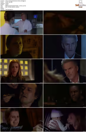 Waking The Dead S01 S09 DVDRip XviD-Mixed