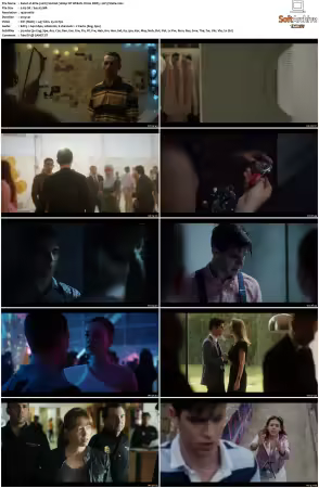 Elite 2018 S01-S08 1080p NF WEB-DL DUAL DDP5.1 AV1-Vialle