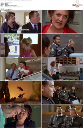 Water Rats S01-S06 WEB-DL AAC2.0 H264-BTN