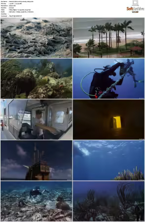Underwater Wonders of the National Parks S01 2160p WEB x264-PFa