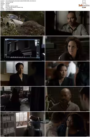 Rizzoli and Isles 2010 S01-S07 1080p NF WEB-DL DDP5.1 AV1-Vialle