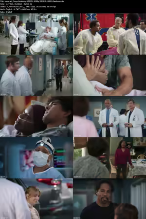 Greys Anatomy S22E14 1080p WEB-DL H264-Bamboo