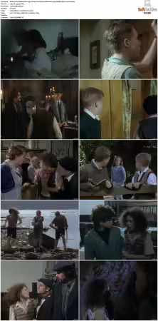 The Famous Five 1995 S01 S02 576p DVDRip DD2.0 x264-DS