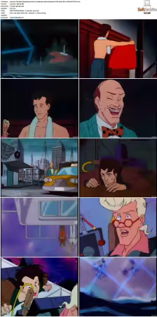 The Real Ghostbusters S01-S07 DVD REMUX-MIXED