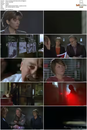 Waking The Dead S01 S09 DVDRip XviD-Mixed