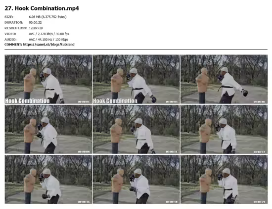 Martial arts/self defense technique