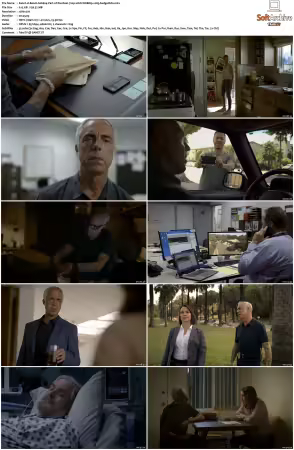 Bosch S01-S07 720p 10bit WEBRip x265-budgetbits