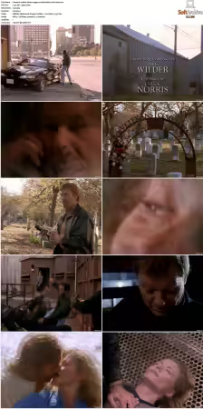 Walker Texas Ranger S01-S09 DVDRip XviD-Mixed